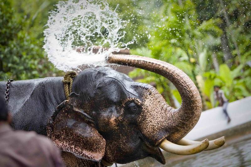 7N Exotic Kerala Tour