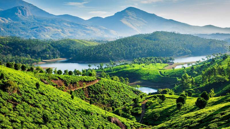 4 Nights 5 Days Kerala - Munnar - Thekkady And Alleppey Tour