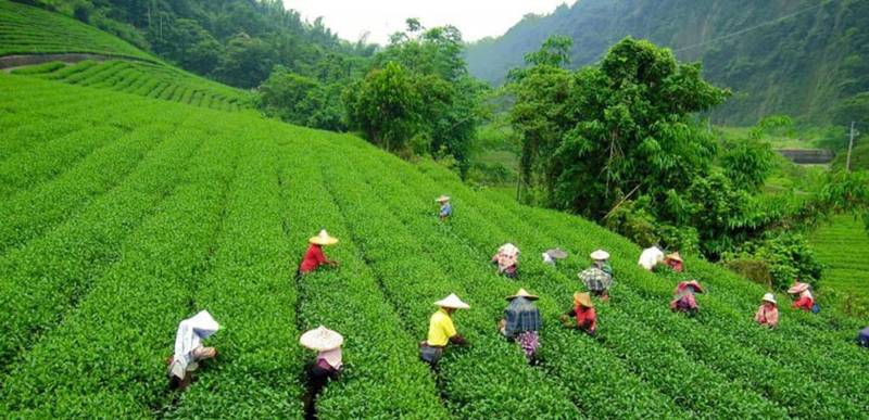 2N Awesome Munnar Tour Image