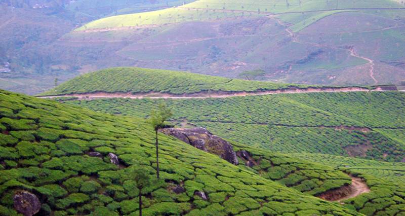4N Kerala Tour - 3 Star Hotel
