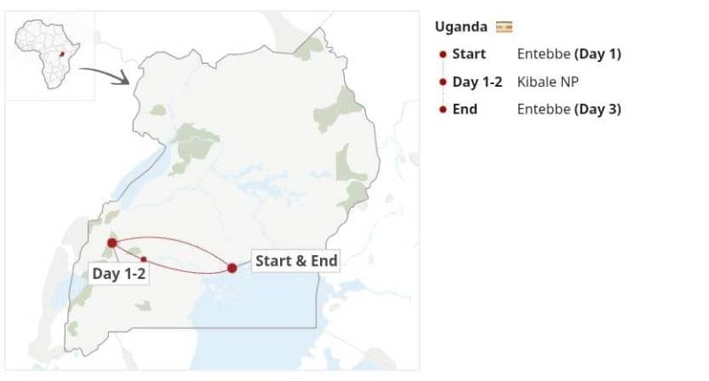 Chimpanzee Tracking in Kibale National Park