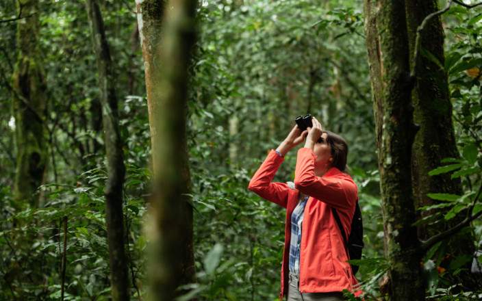 Chimpanzee Tracking in Kibale National Park