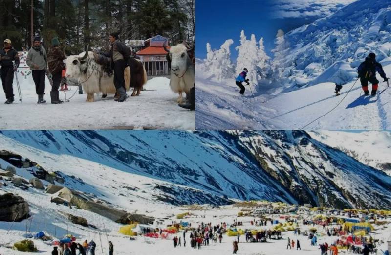 3 Nights 4 Days Manali Tour