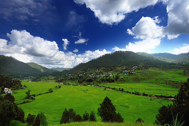 5 Days Nainital Tour Package