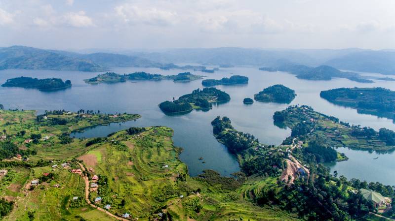 3 Day Gorilla Trekking and Batwa Trails in Bwindi