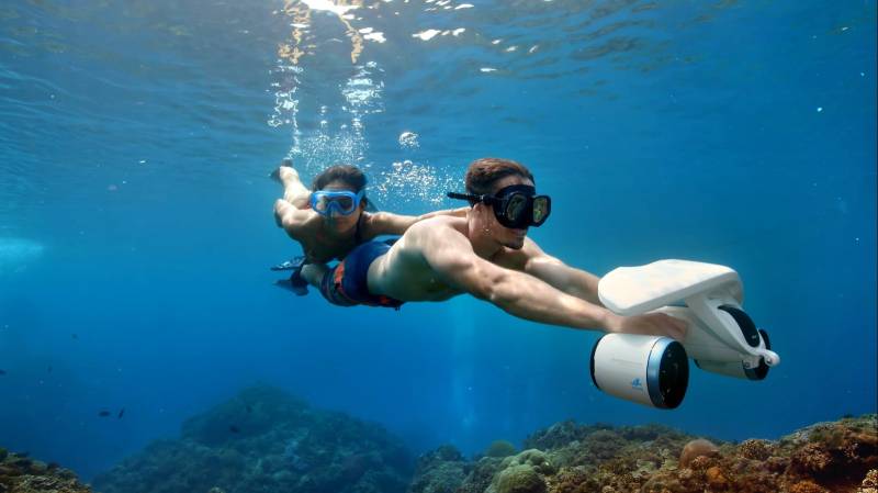 Scuba diving in netrani Island full day