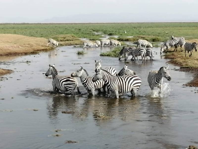 Magical Kenya 6 Days Safari Tour