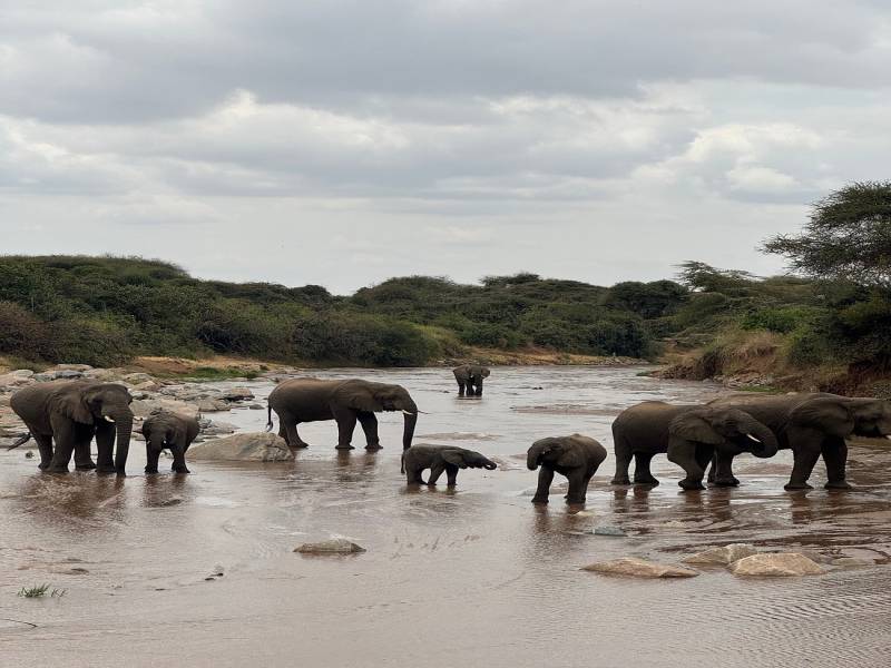 4 Day Northern Tanzania Big Five And Cultural Experience