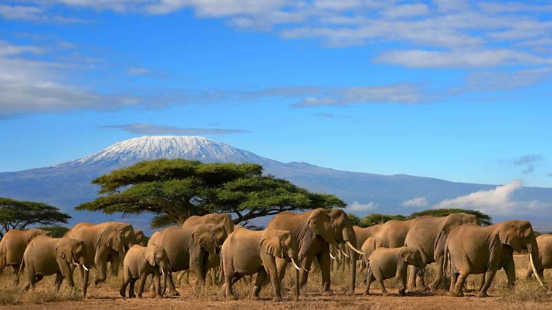 5 Nights And 6 Days Kenya Safari