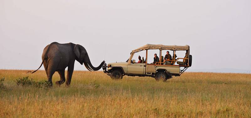 5 Nights and 6 Days Kenya Safari