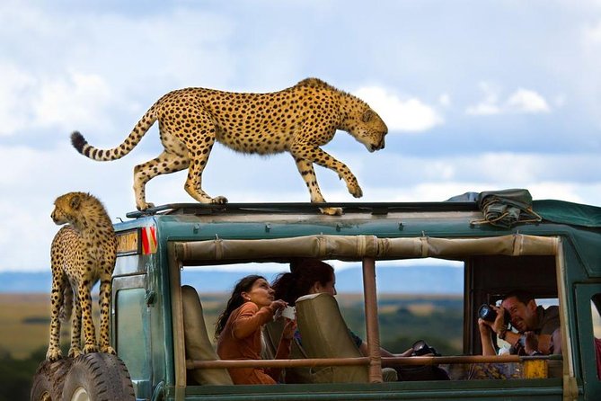 5 Nights and 6 Days Kenya Safari