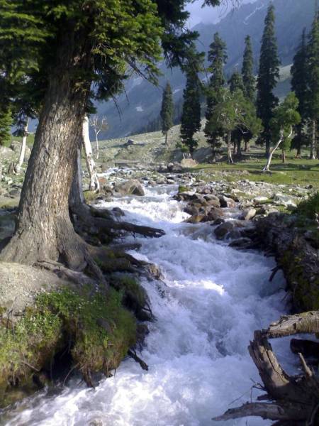 5 Nights and 6 Days Kashmir Package
