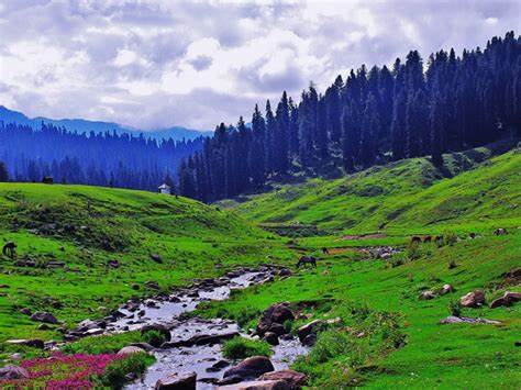 3 Nights 4 Days Kashmir Package