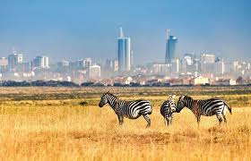 1-Day Nairobi National Park Tour Package