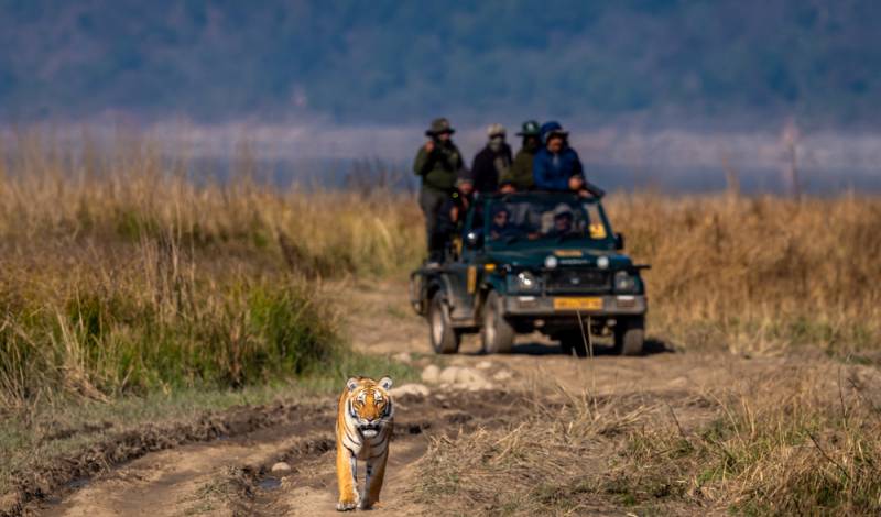 Jim Corbett - Nainital Tour 4N - 5D