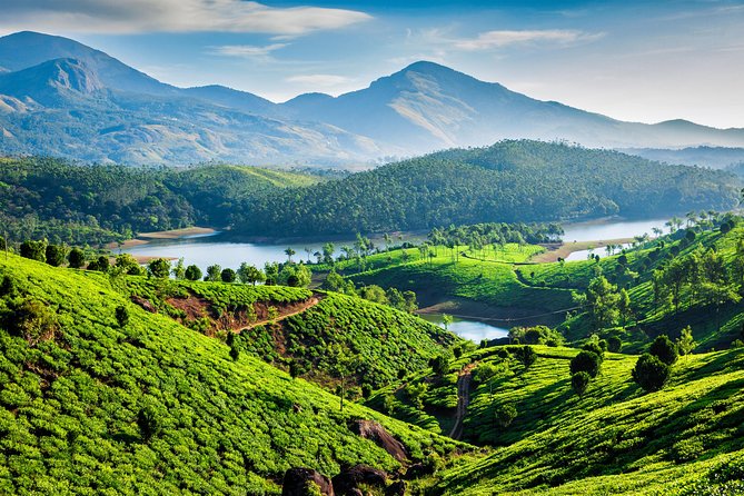 Kerala 4D 3N Tour Package - Munnar - Alleppey Image