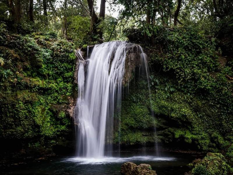 Jim Corbett 2 Night & 3 Days