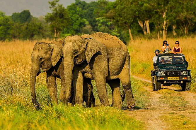 Jim Corbett 2 Night & 3 Days