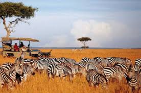 3 Days 2 Nights Maasai Mara
