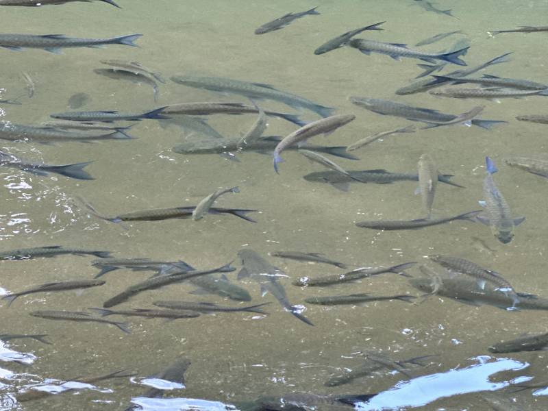 Explore Meghalaya Tour