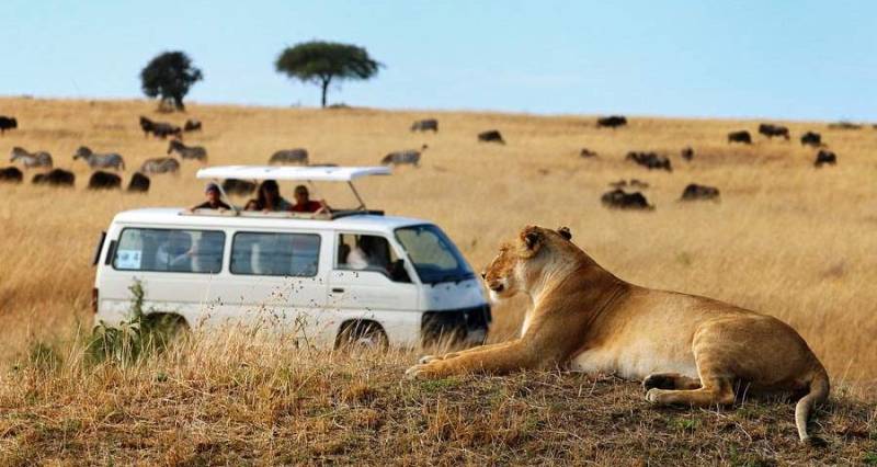 9 Nights - 10 Days Trip Grand Kenya Safari Image