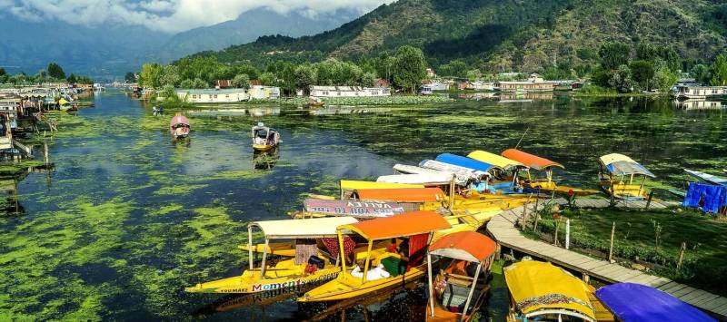 6 Days Splendors Of Kashmir Tour Package Image