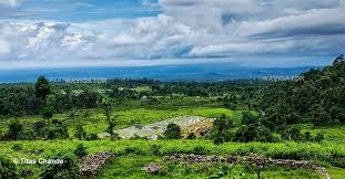 The Gorumara - Lataguri Circuit - Western Dooars Tour