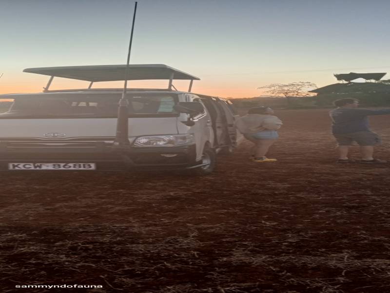 3 nights 4 days Masai mara national reserve