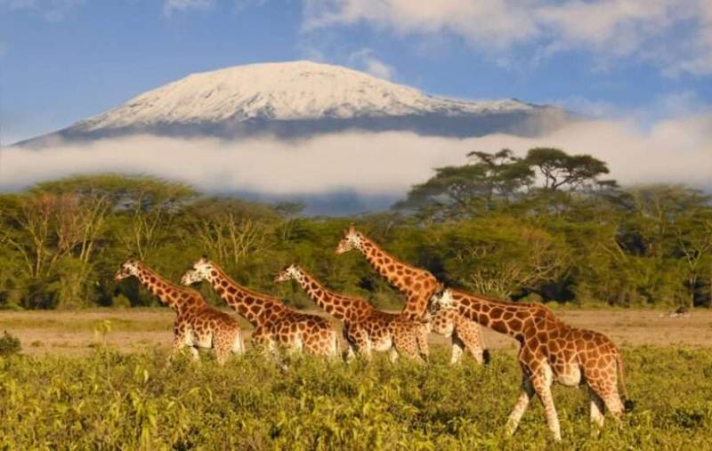 4 Days Mombasa Safari - Tsavo West - Amboseli - Tsavo East - Mombasa Beaches Tour Image