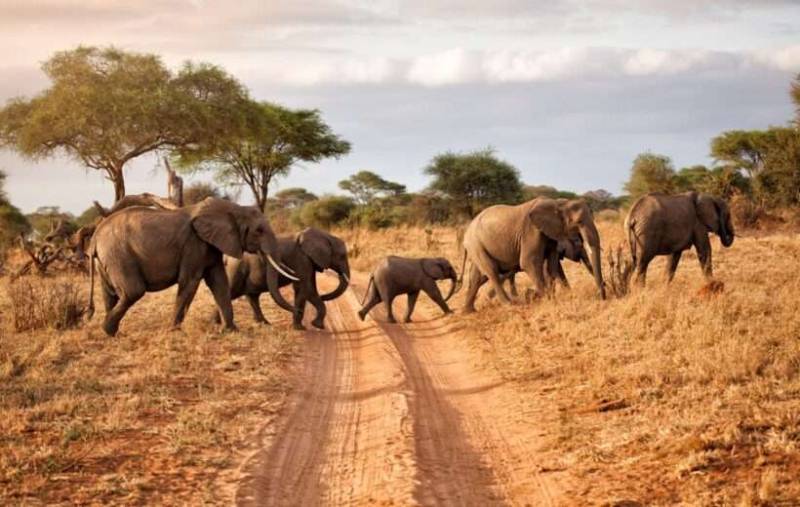 2 Day Tarangire And Ngorongoro Adventure Tour Image