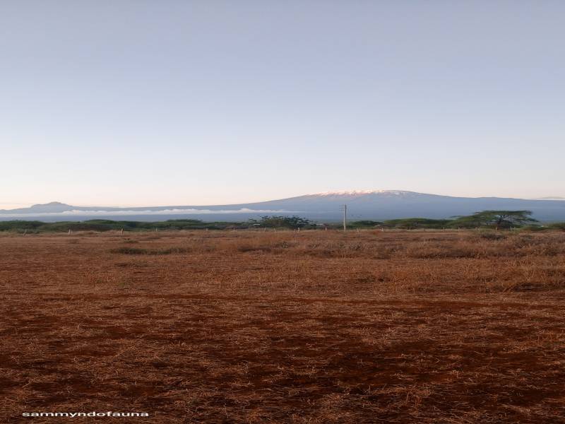 9 nights 10 days Kenya safari