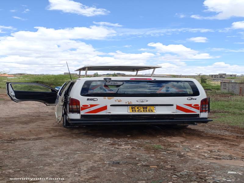 9 nights 10 days Kenya safari