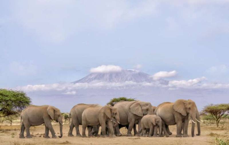 9Day Hidden Gem Of The Kenya Wilderness Safari Tour