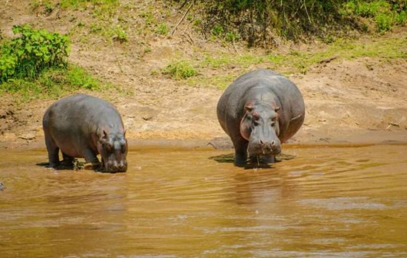 Hakuna Matata 9 Day Kenya Safari Tour Image