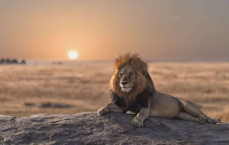 4 Day Amazing Tarangire - Serengeti And Ngorongoro Adventure Tour Image