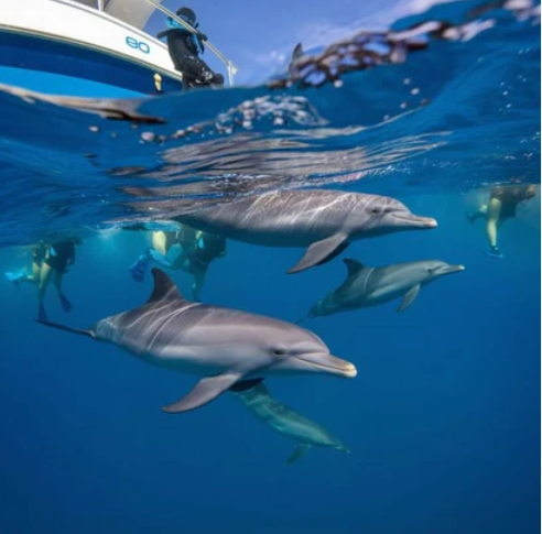 Zanzibar Getaway: 7 Days / 6 Nights