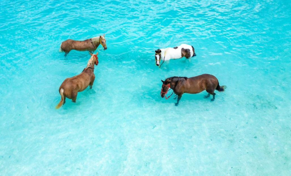 Zanzibar Getaway: 7 Days / 6 Nights