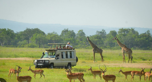 2 Days / 1 Night Mikumi Safari