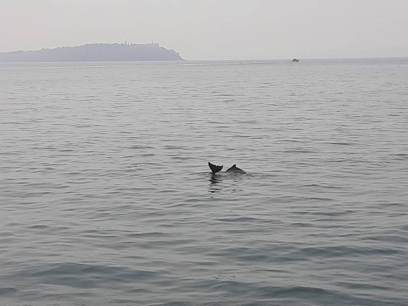 4n/5d Bangalore Mysoor Coorg Tour