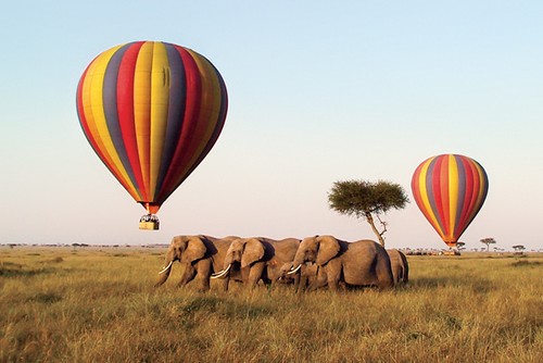 Magical Masai Mara Extravaganza 3 Days, 2 nights