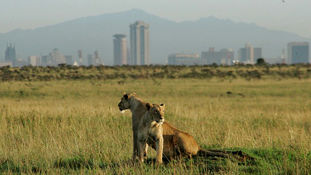 2 Days Nairobi Extravaganza Experience