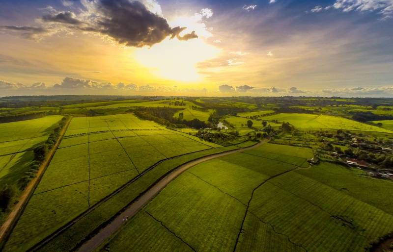 2 Days Nairobi Extravaganza Experience