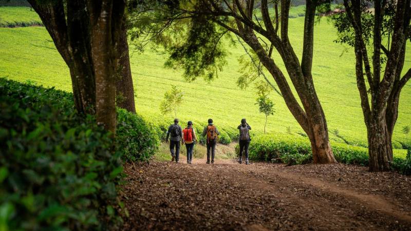 2 Days Nairobi Extravaganza Experience