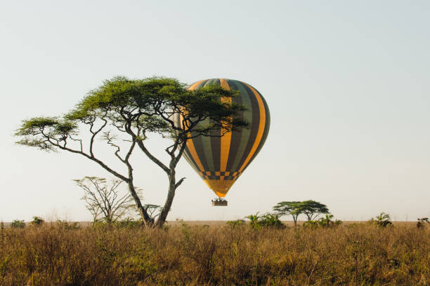 Big Game Safari – Mara River Migration – 10 Days Safari
