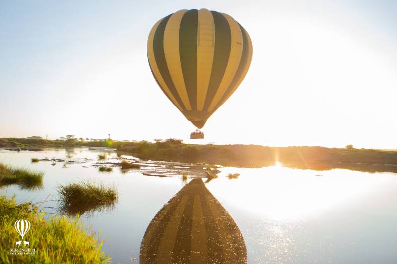 Big Game Safari – Mara River migration – 10 Days Safari