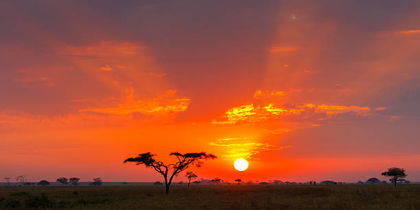 Big Game Safari – Mara River migration – 10 Days Safari