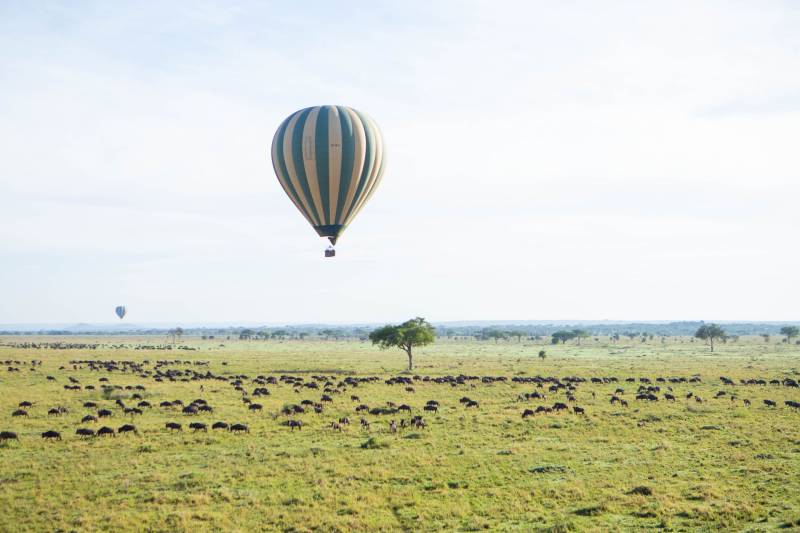 Tanzania Big Five Safari – 5 Days Tarangire - Serengeti