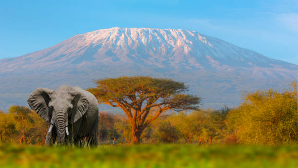 7-Day Machame Route – Mount Kilimanjaro