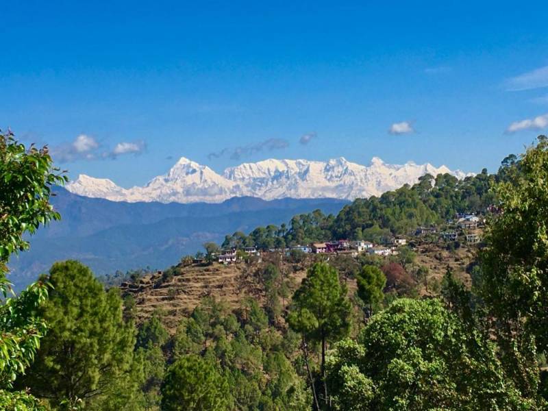 6 Days Corbett Ranikhet Kausani Kasar Devi Bhimtal