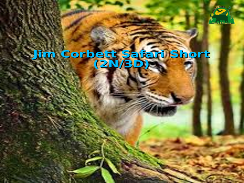 Jim Corbett – Safari Short (2N/3D) Image